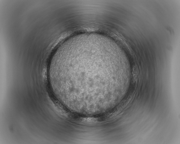 X0000114670212200911121339