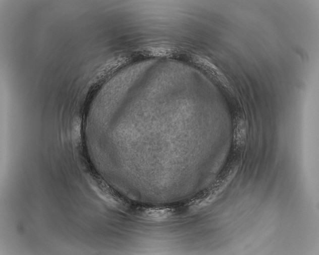 X0000114670213200911121339