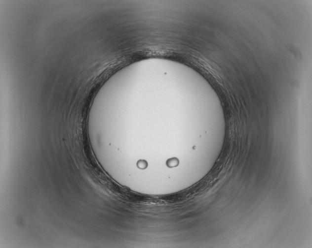 X0000114670215200911121339