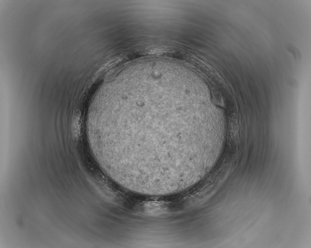 X0000114670216200911121339