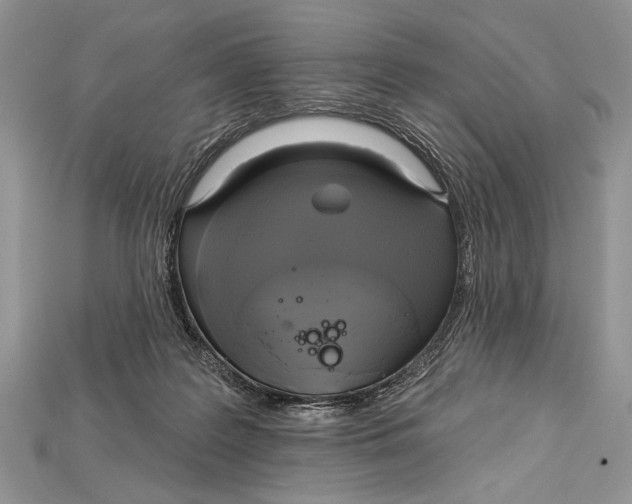 X0000114670219200911121339