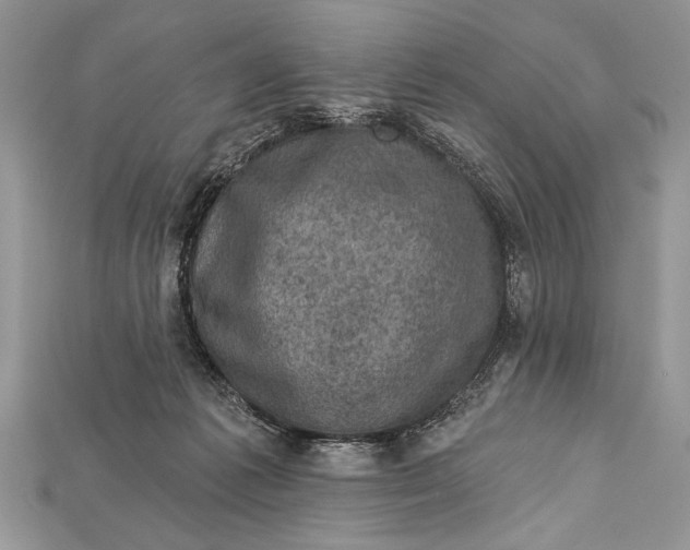 X0000114670221200911121339