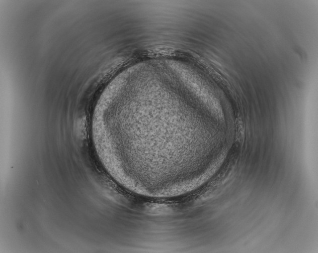 X0000114670224200911121339