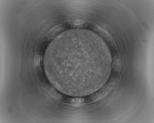 X0000114670225200911121339