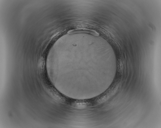 X0000114670228200911121339