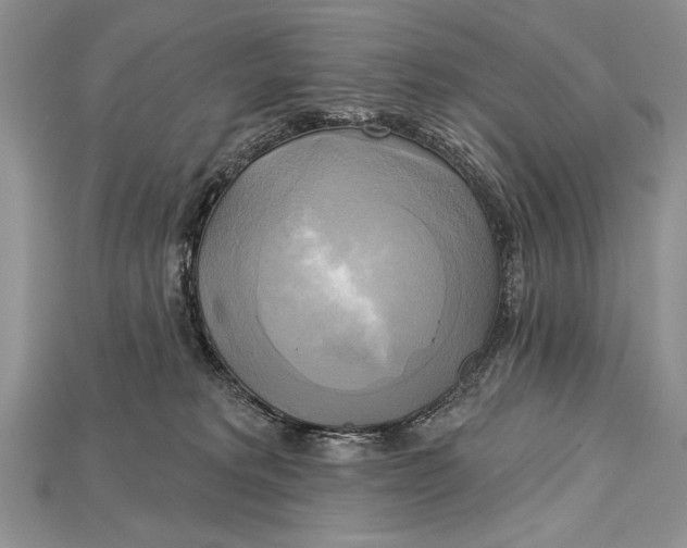 X0000114670229200911121339