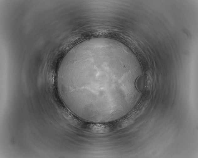 X0000114670230200911121339