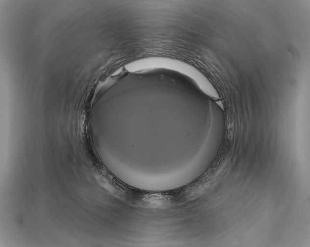 X0000114670231200911121339