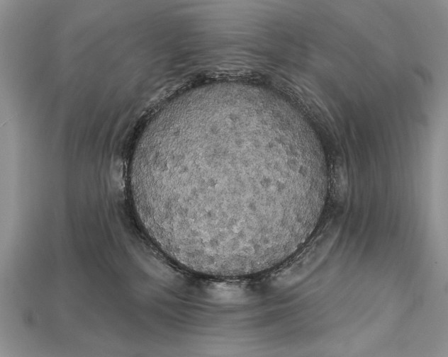 X0000114670232200911121339