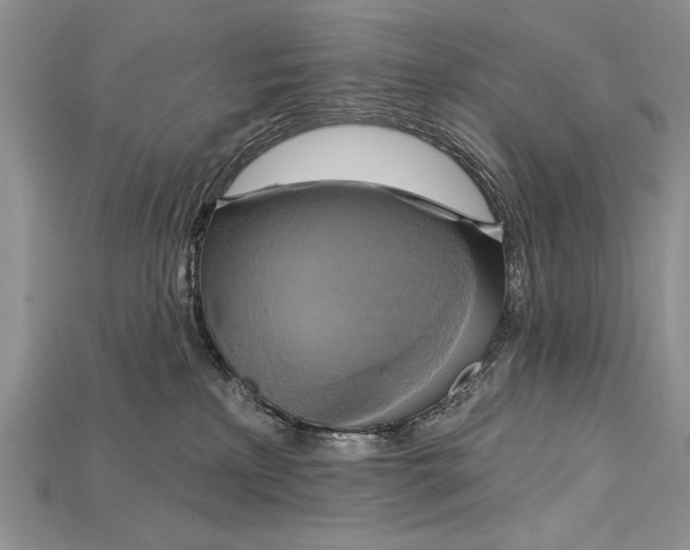 X0000114670233200911121339