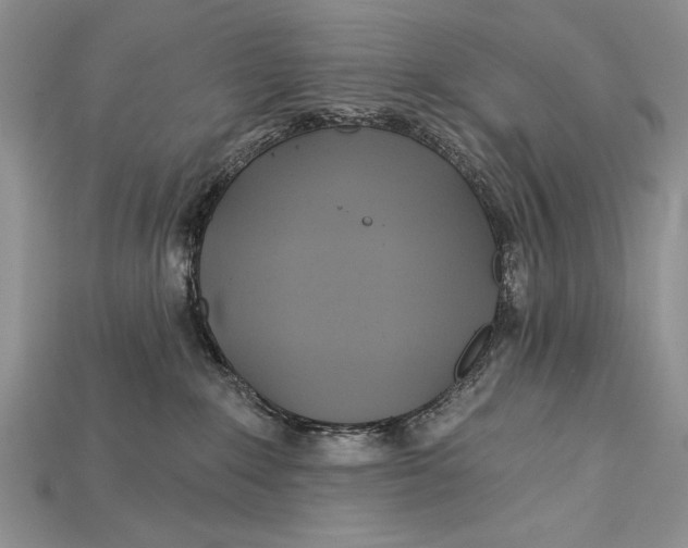 X0000114670235200911121339