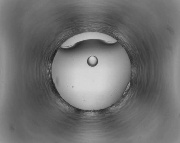 X0000114670237200911121339