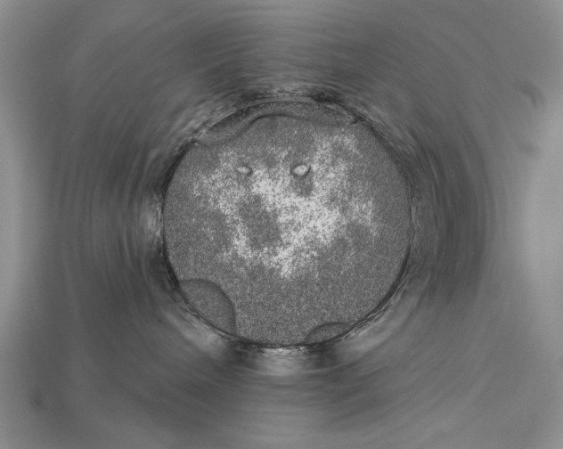 X0000114670240200911121339