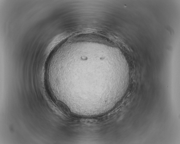 X0000114670242200911121338