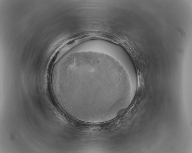 X0000114670243200911121338