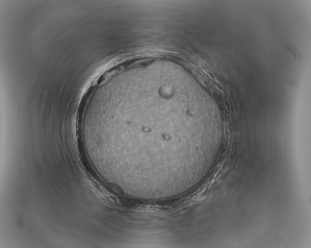 X0000114670244200911121338