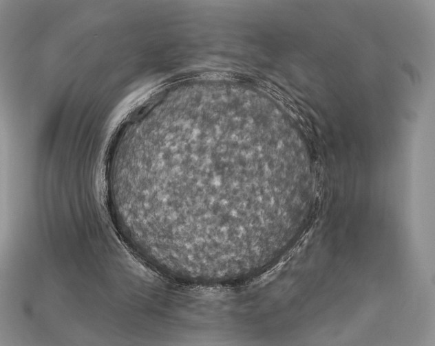 X0000114670245200911121338