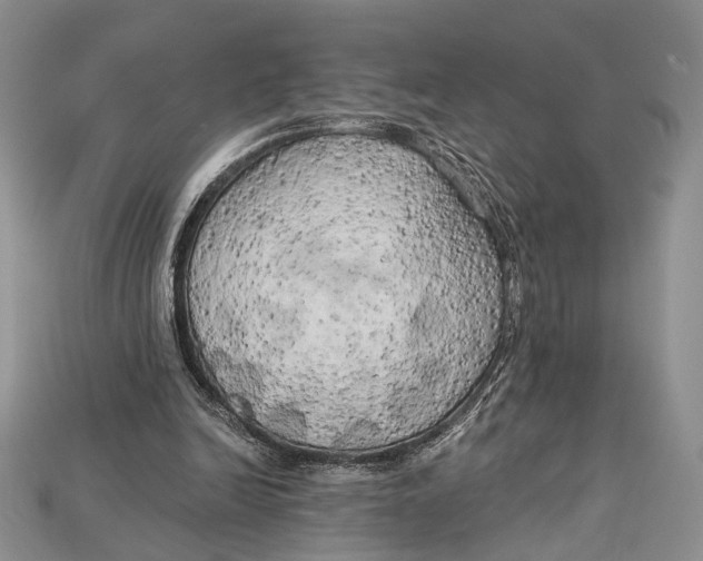 X0000114670246200911121338