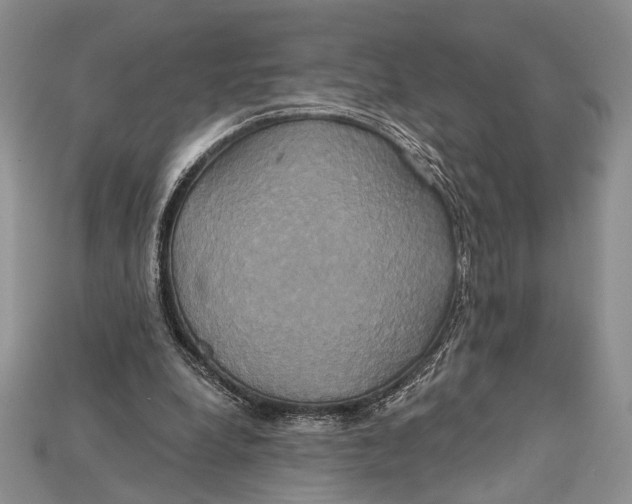 X0000114670248200911121338