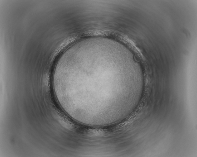 X0000114670250200911121338