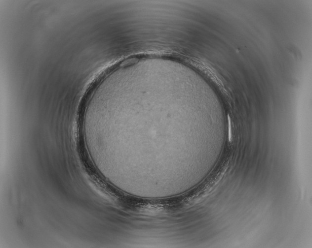 X0000114670252200911121338