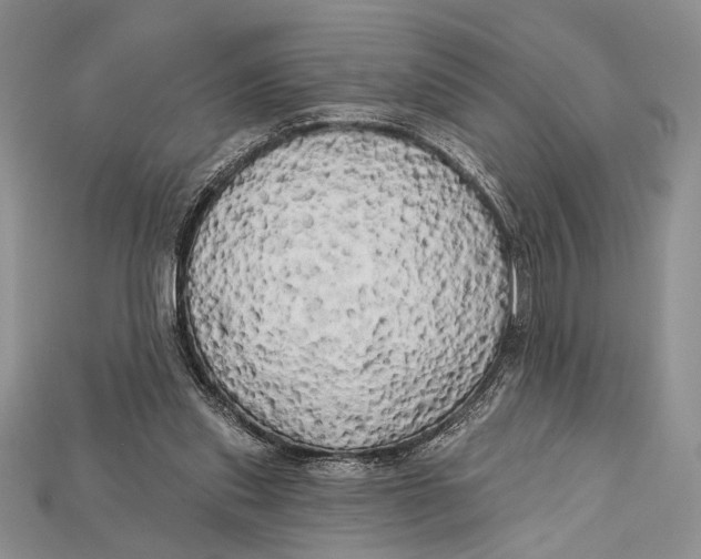 X0000114670253200911121338