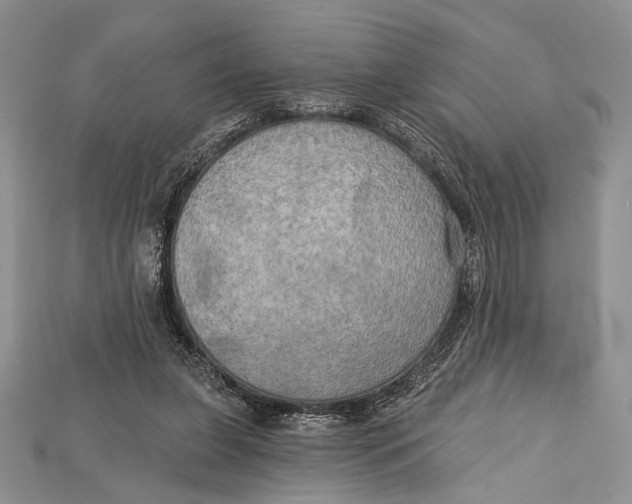 X0000114670255200911121338