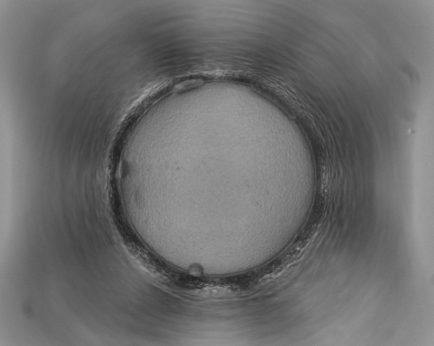 X0000114670256200911121338