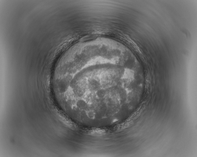 X0000114670257200911121338