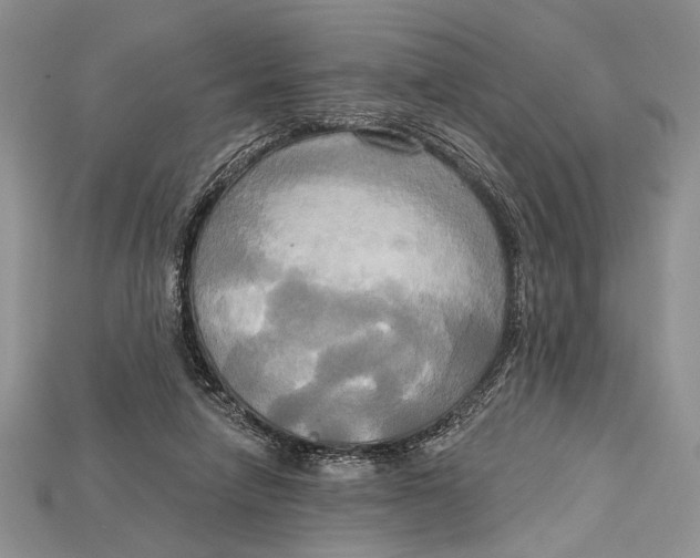 X0000114670258200911121338