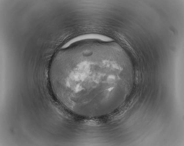 X0000114670259200911121339