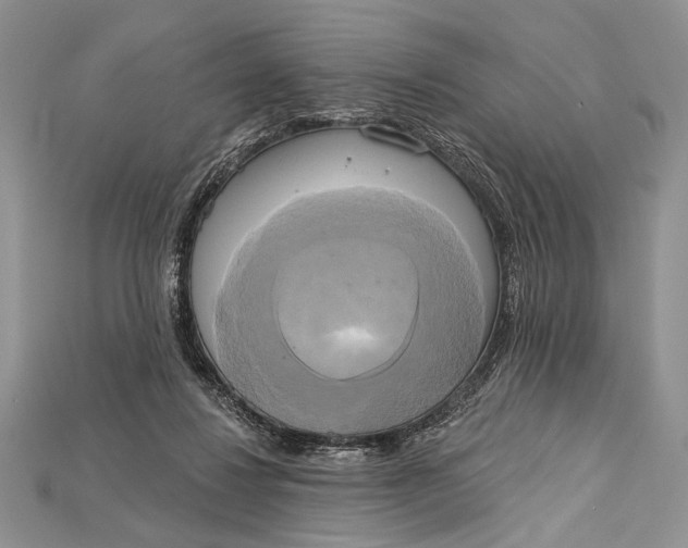 X0000114670260200911121339