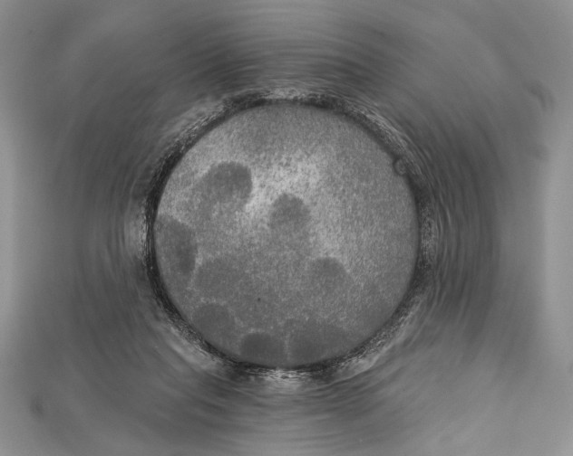 X0000114670261200911121339