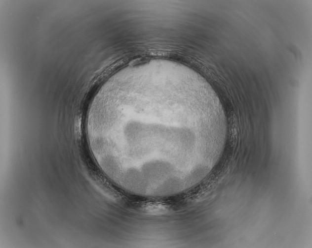 X0000114670262200911121339