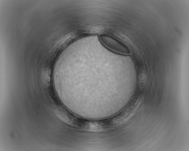 X0000114670264200911121339