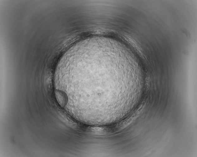 X0000114670265200911121339