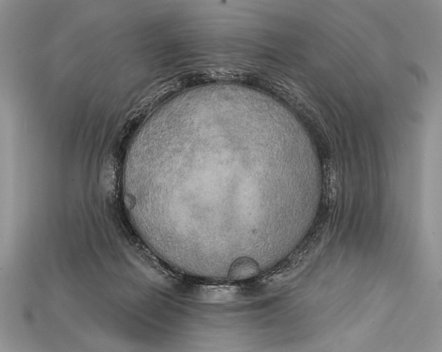 X0000114670266200911121339