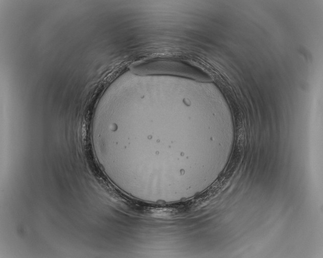 X0000114670268200911121339