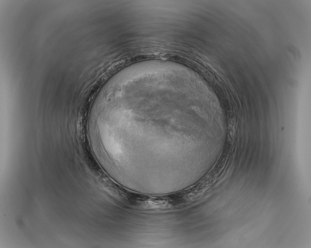 X0000114670270200911121339