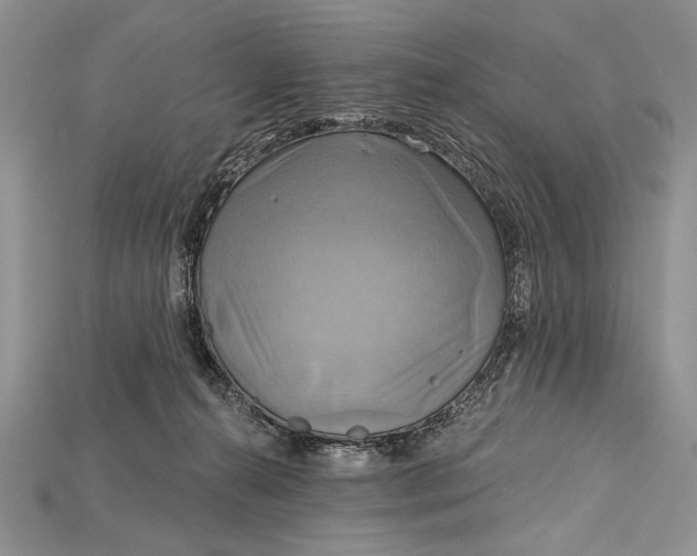 X0000114670272200911121339