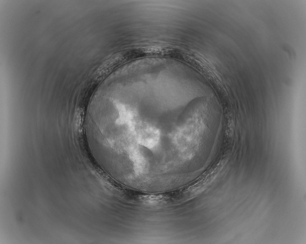 X0000114670273200911121339