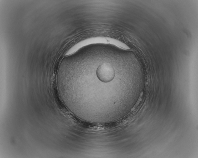 X0000114670276200911121339