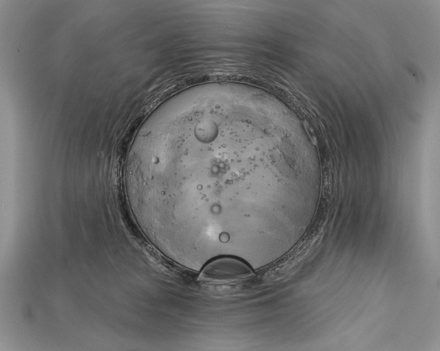 X0000114670277200911121339