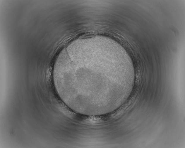 X0000114670278200911121339