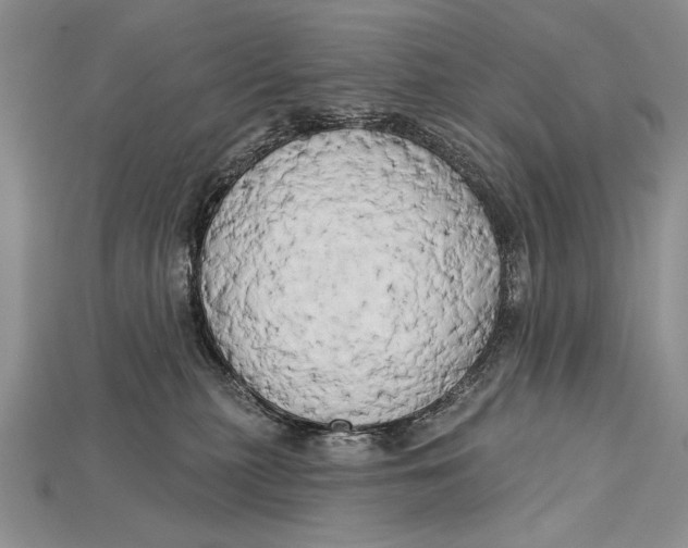 X0000114670279200911121339