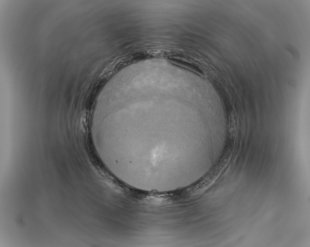 X0000114670280200911121339