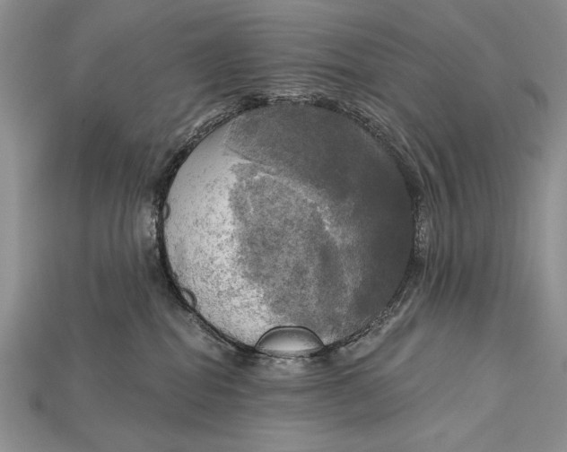 X0000114670282200911121339