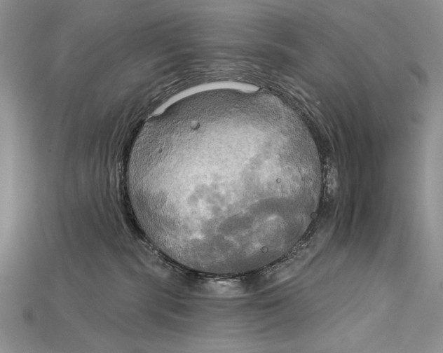 X0000114670283200911121339