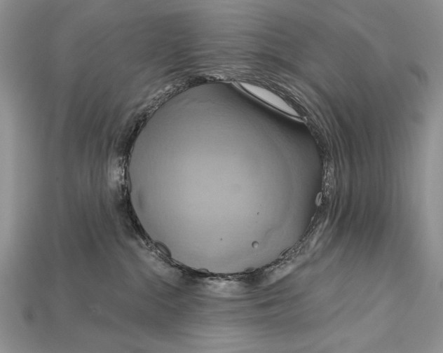 X0000114670284200911121339