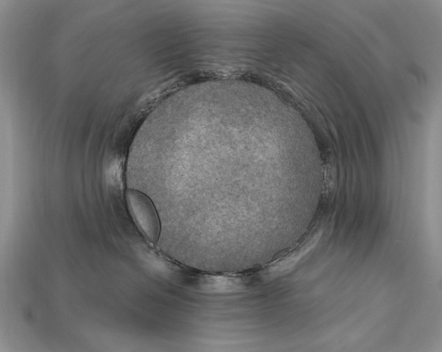 X0000114670286200911121339